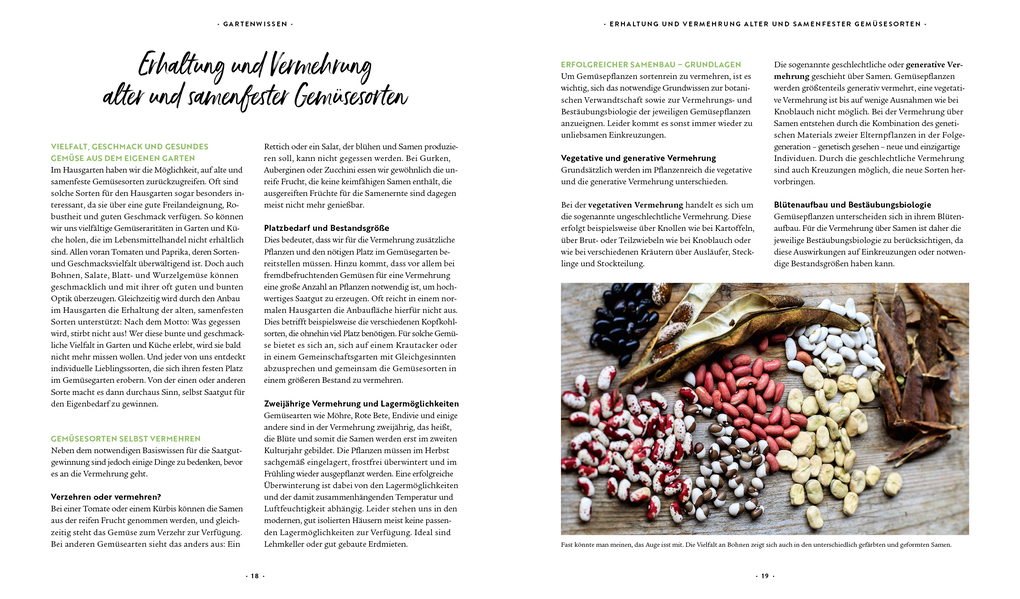 Weitere Ansicht: Mein Biogemüse-Garten | Annette Holländer