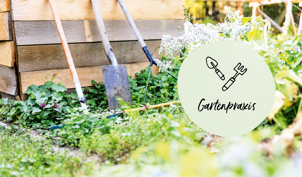 Weitere Ansicht: Mein Biogemüse-Garten | Annette Holländer