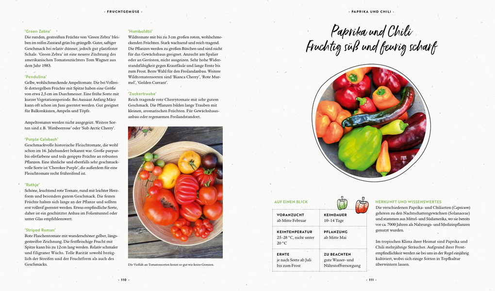 Weitere Ansicht: Mein Biogemüse-Garten | Annette Holländer