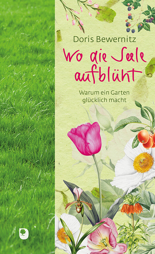 Produktbild: Wo die Seele aufblüht | Doris Bewernitz