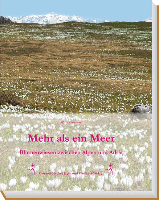 Produktbild: Mehr als ein Meer | Björn Zedrosser