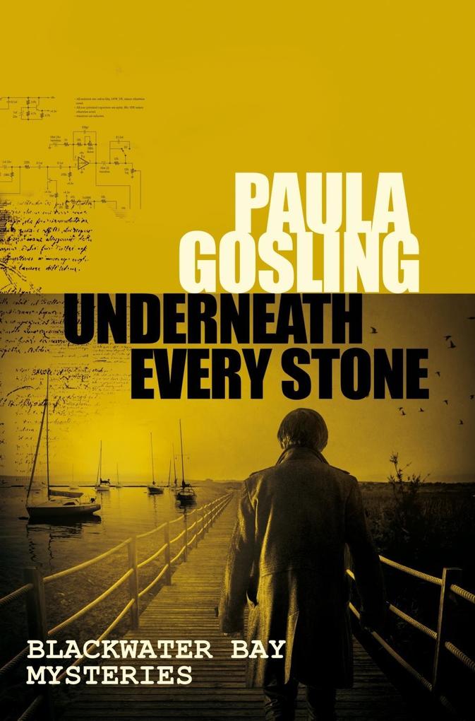Produktbild: Underneath Every Stone | Paula Gosling