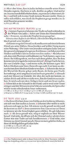 Weitere Ansicht: Die Bibel. Taschenausgabe curry mit Reißverschluss