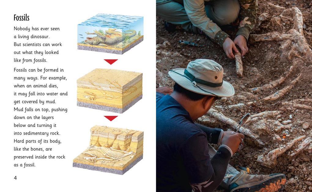 Weitere Ansicht: Living Fossils | Sally Morgan