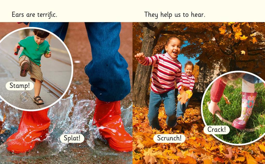 Weitere Ansicht: How the Ear Can Hear | Kate Scott