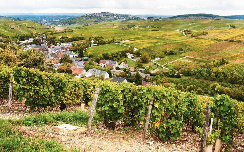 Weitere Ansicht: The Sommelier's Atlas of Taste | Rajat Parr, Jordan Mackay