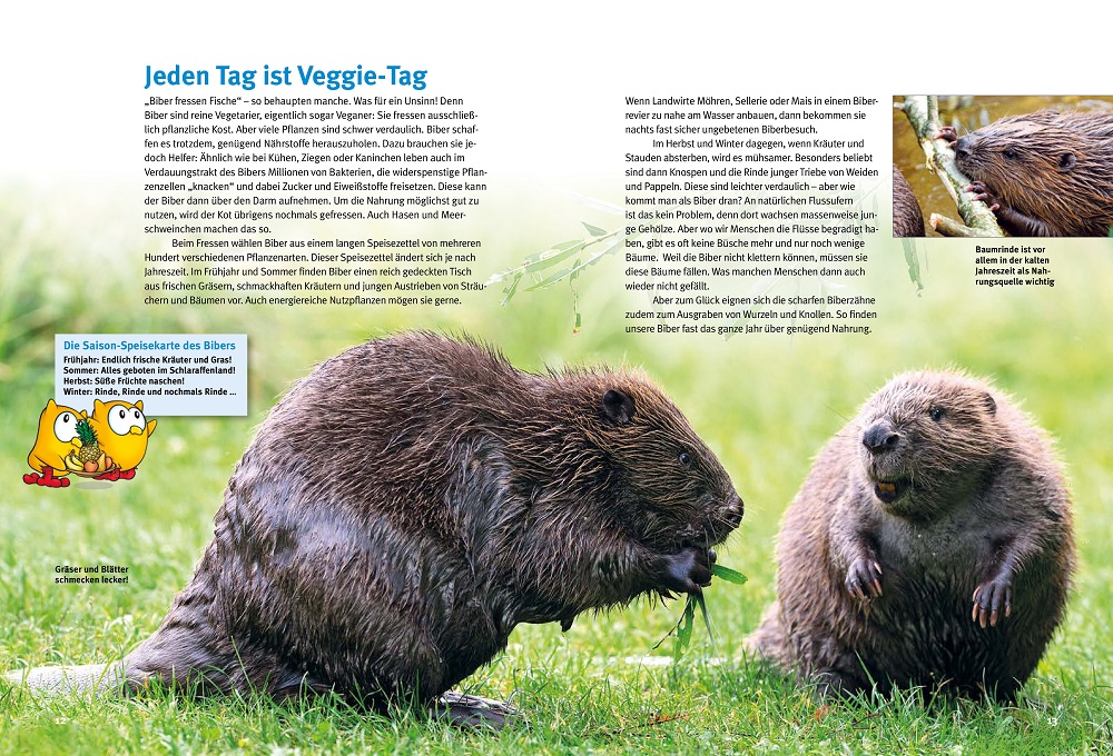 Weitere Ansicht: Entdecke die Biber | Ulrich Meßlinger