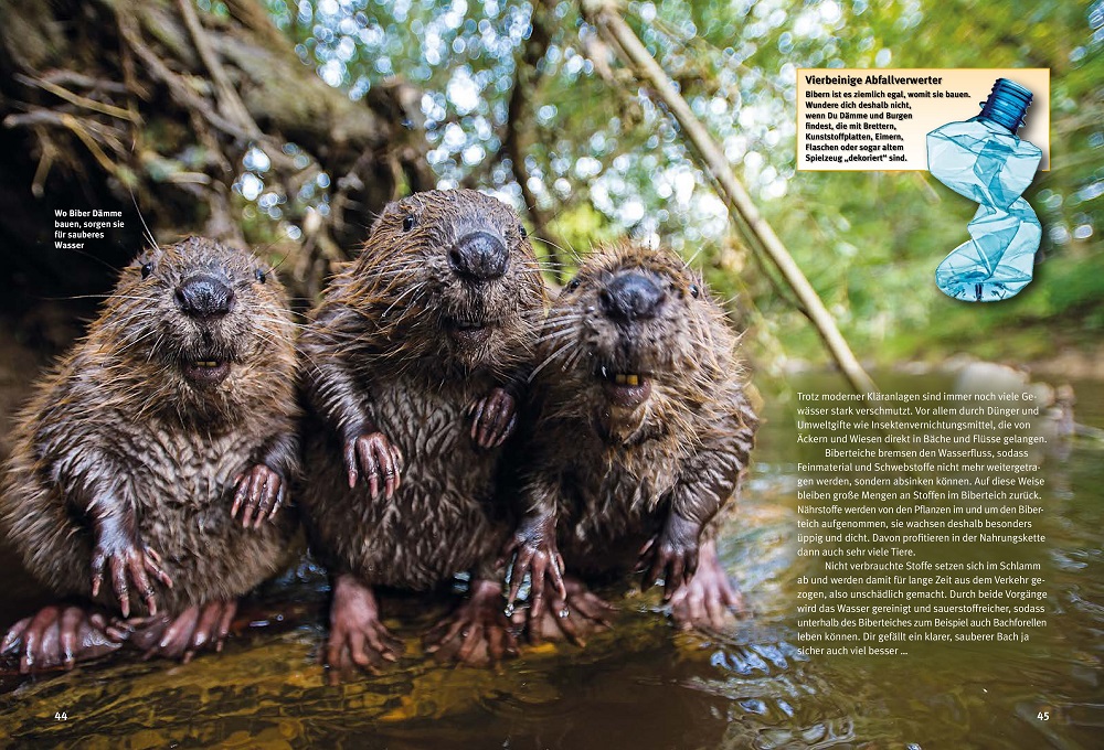 Weitere Ansicht: Entdecke die Biber | Ulrich Meßlinger