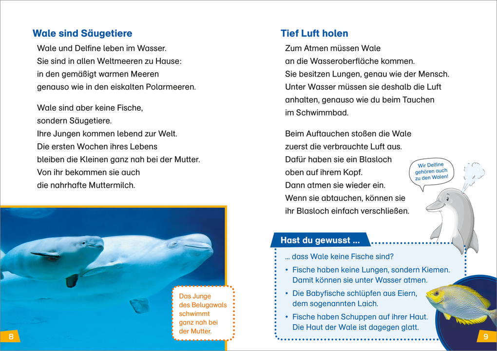 Weitere Ansicht: WAS IST WAS Erstes Lesen Band 1. Wale und Delfine | Christina Braun