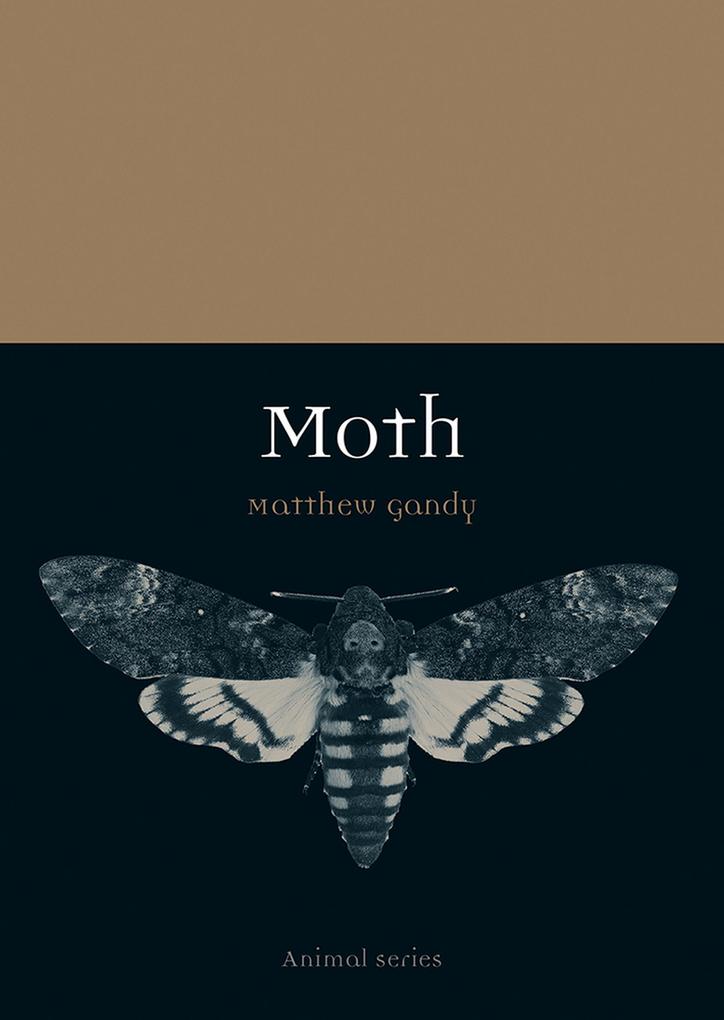 Produktbild: Moth | Gandy Matthew Gandy