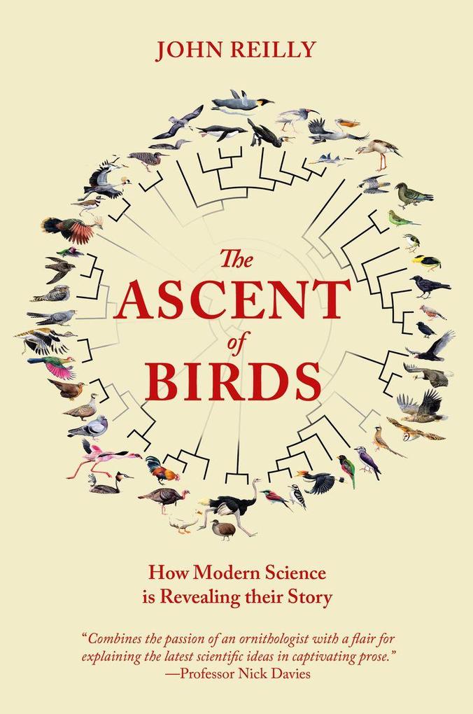Produktbild: The Ascent of Birds | John Reilly
