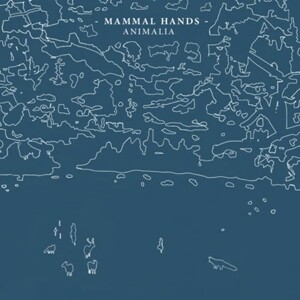 Produktbild: Animalia | Mammal Hands