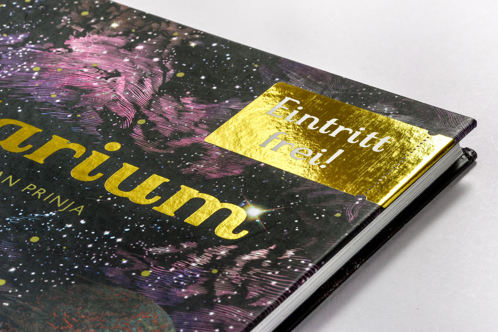 Weitere Ansicht: Das Planetarium | Raman K. K. Prinja, Chris Wormell, Raman Prinja