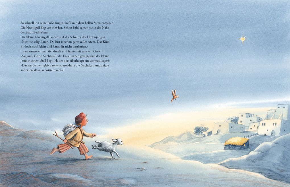 Weitere Ansicht: Der kleine Hirte und das Weihnachtswunder | Silvia Schröer, Silke Schwarz