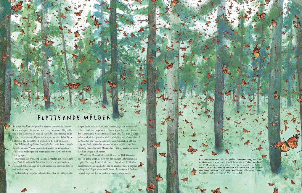 Weitere Ansicht: Wanderungen | Mike Unwin