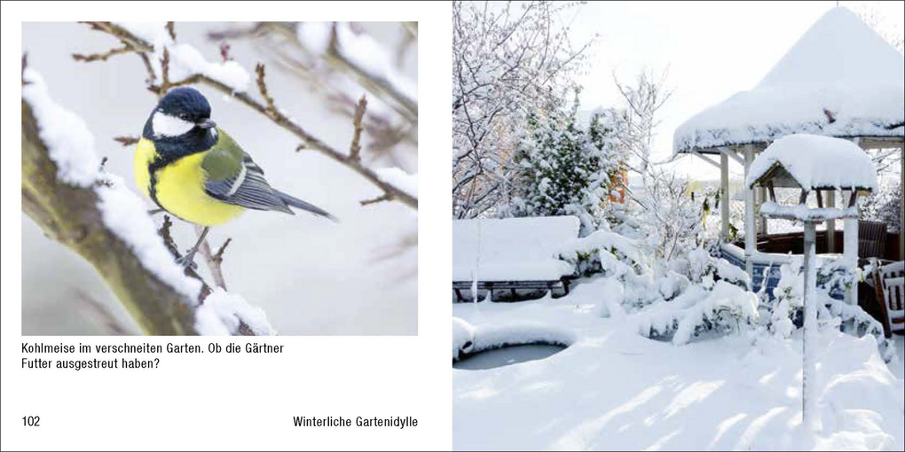 Weitere Ansicht: Gartenidylle