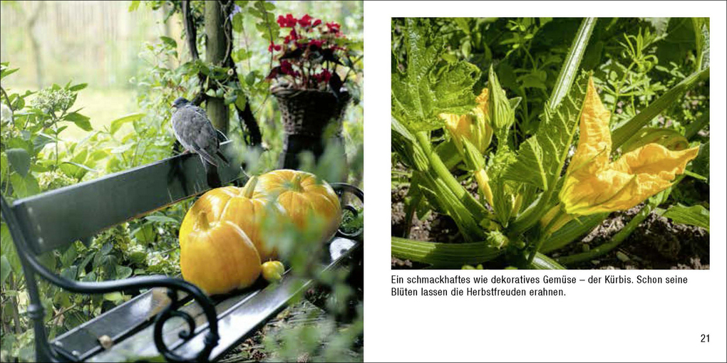 Weitere Ansicht: Gartenidylle