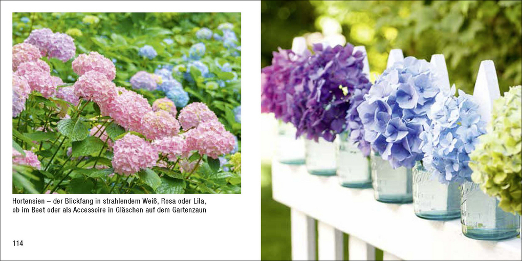 Weitere Ansicht: Gartenidylle