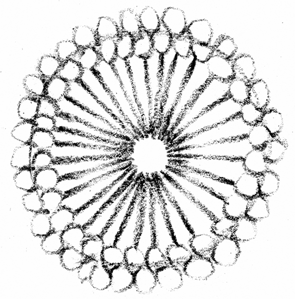 Weitere Ansicht: Gerade und Krumme | Renate Schiller