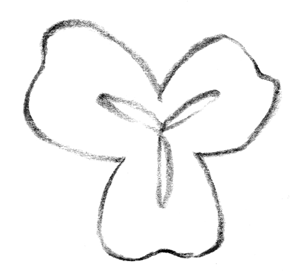 Weitere Ansicht: Gerade und Krumme | Renate Schiller