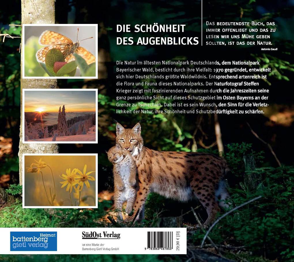 Weitere Ansicht: Die Schönheit des Augenblicks | Steffen Krieger