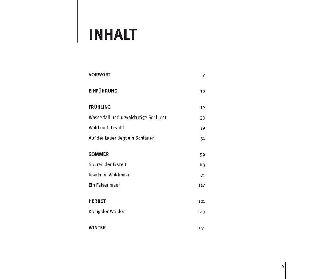 Weitere Ansicht: Die Schönheit des Augenblicks | Steffen Krieger