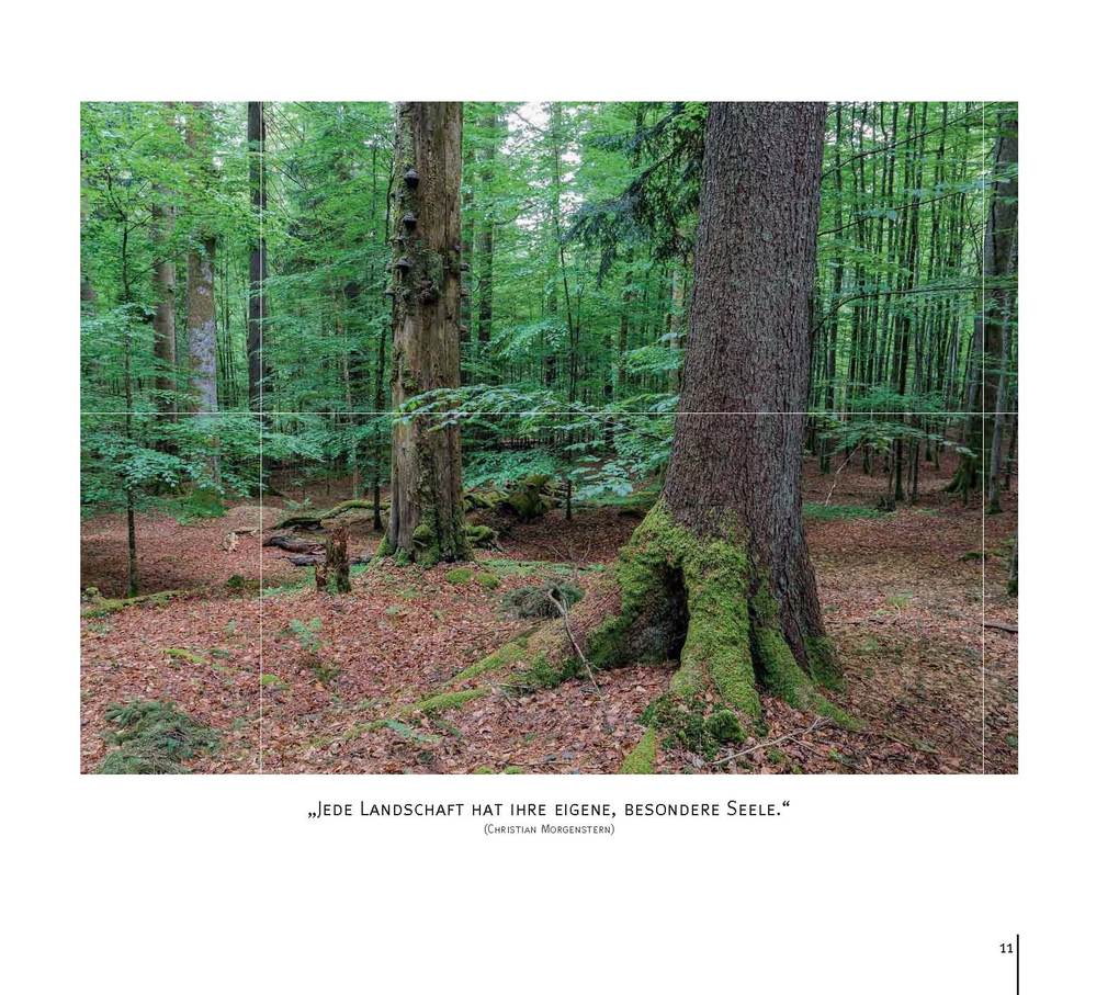 Weitere Ansicht: Die Schönheit des Augenblicks | Steffen Krieger