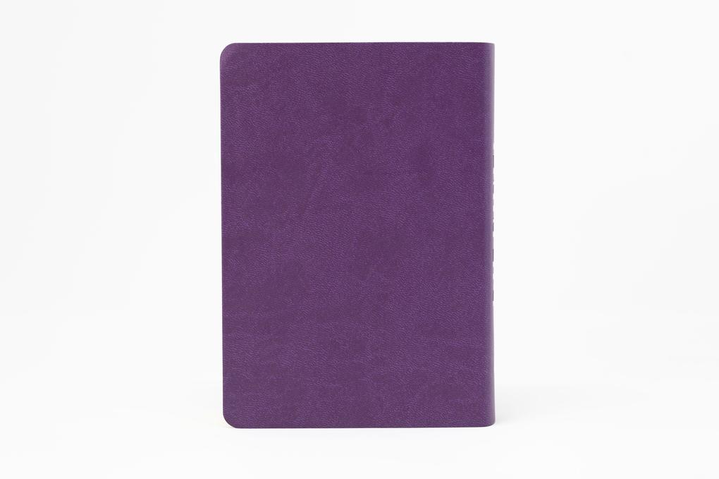 Weitere Ansicht: Die Bibel. Senfkorn, Handschmeichler lila