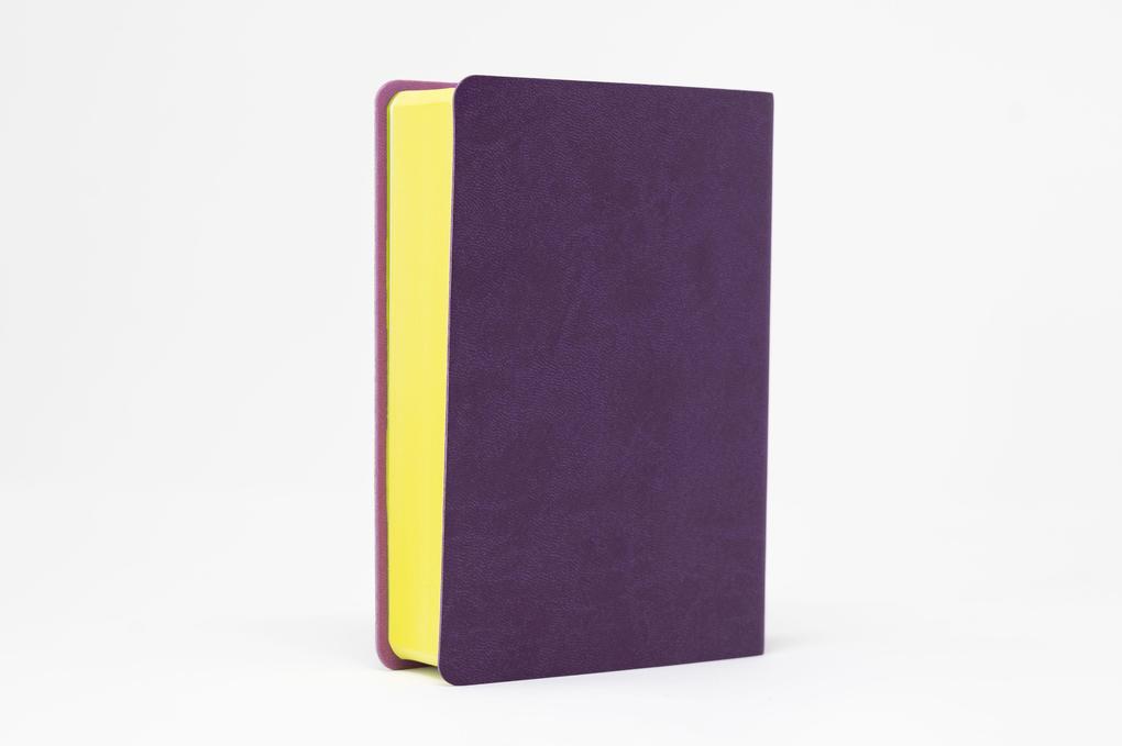 Weitere Ansicht: Die Bibel. Senfkorn, Handschmeichler lila