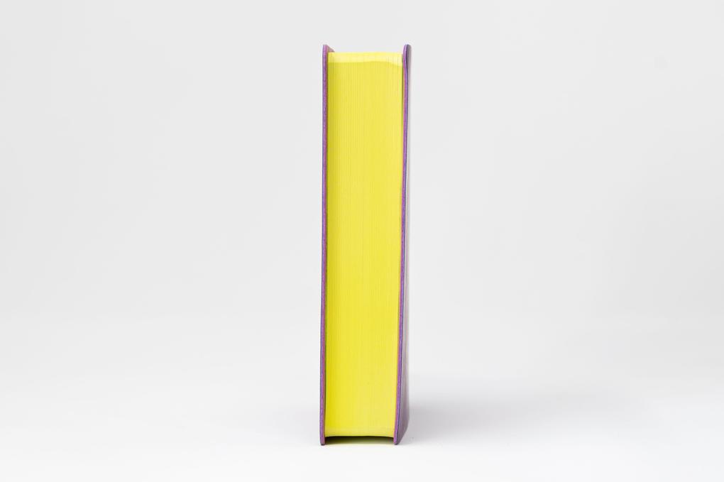 Weitere Ansicht: Die Bibel. Senfkorn, Handschmeichler lila