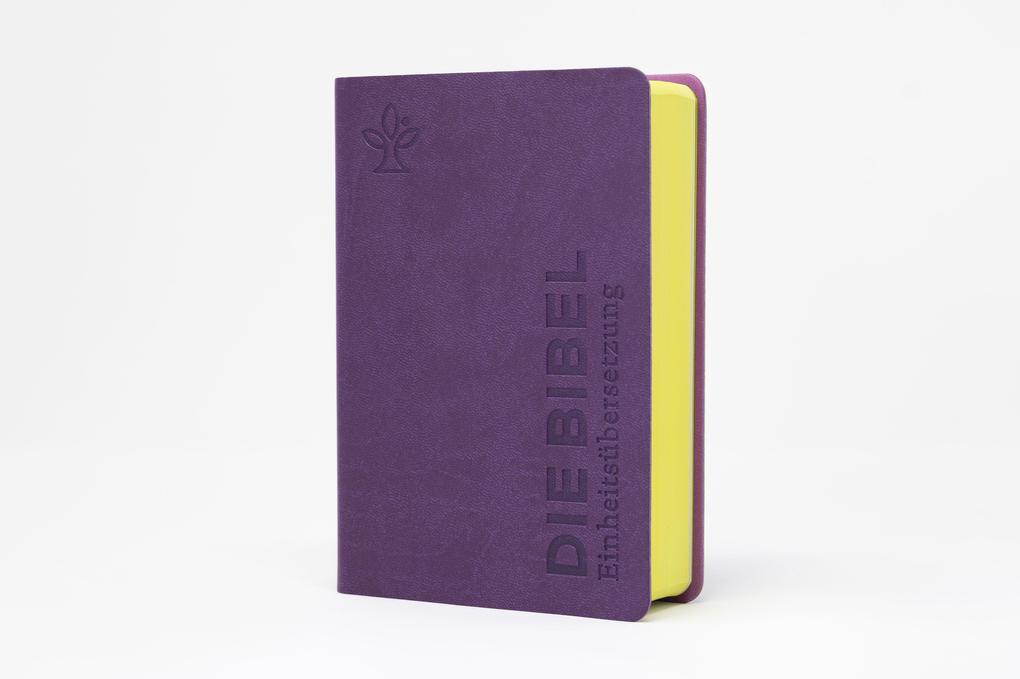 Weitere Ansicht: Die Bibel. Senfkorn, Handschmeichler lila