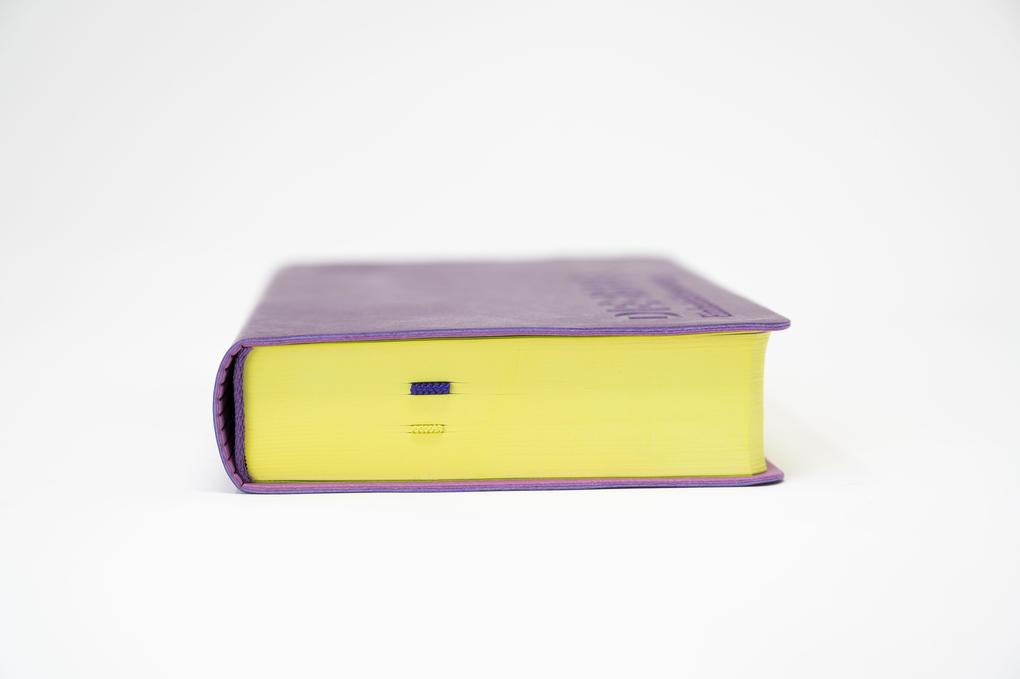 Weitere Ansicht: Die Bibel. Senfkorn, Handschmeichler lila