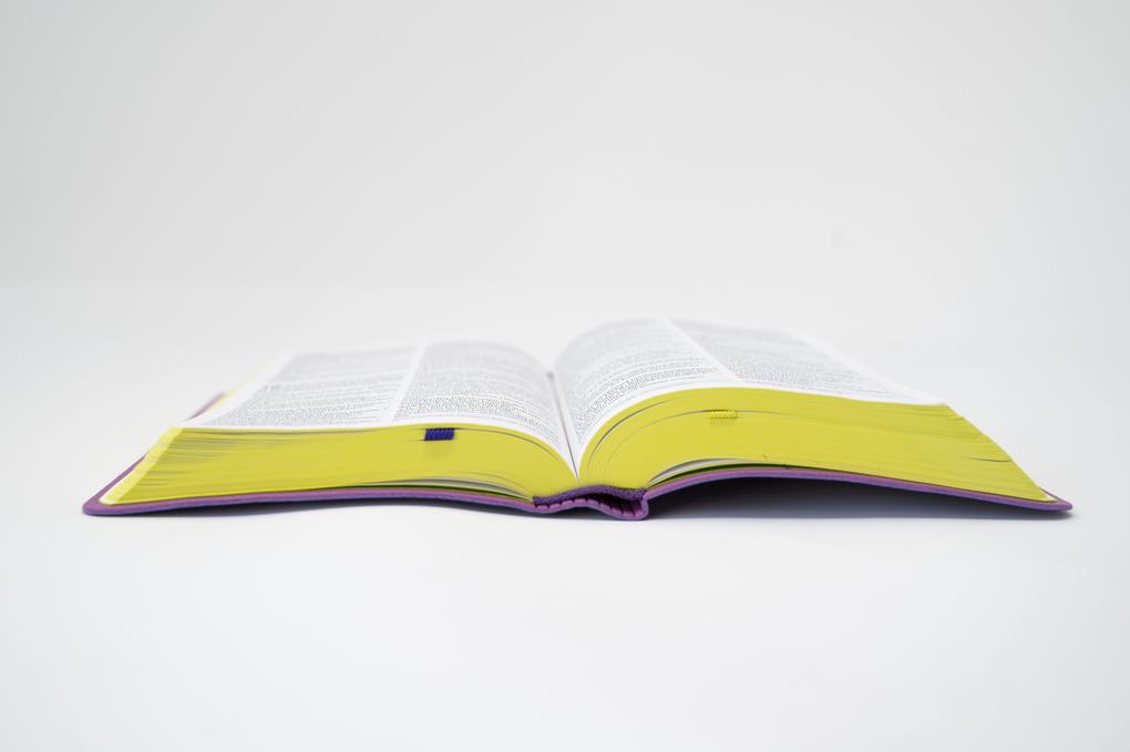 Weitere Ansicht: Die Bibel. Senfkorn, Handschmeichler lila