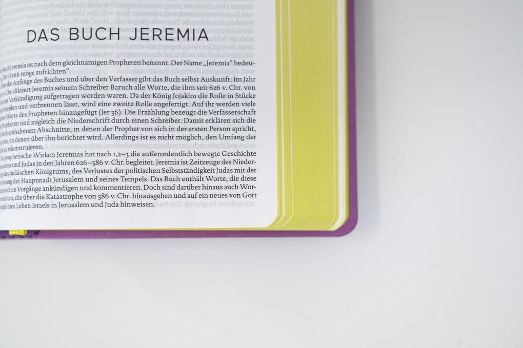 Weitere Ansicht: Die Bibel. Senfkorn, Handschmeichler lila