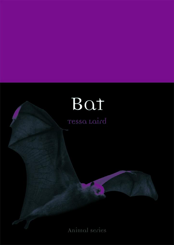 Produktbild: Bat | Laird Tessa Laird