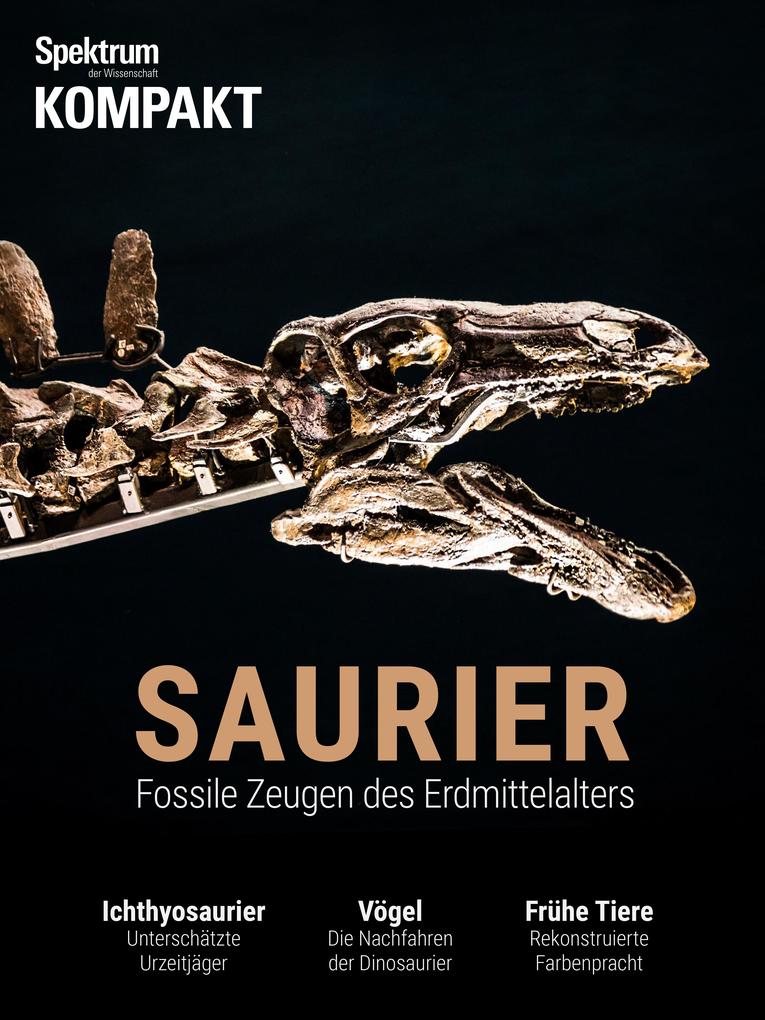 Produktbild: Spektrum Kompakt - Saurier