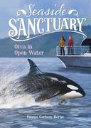 Orca in Open Water