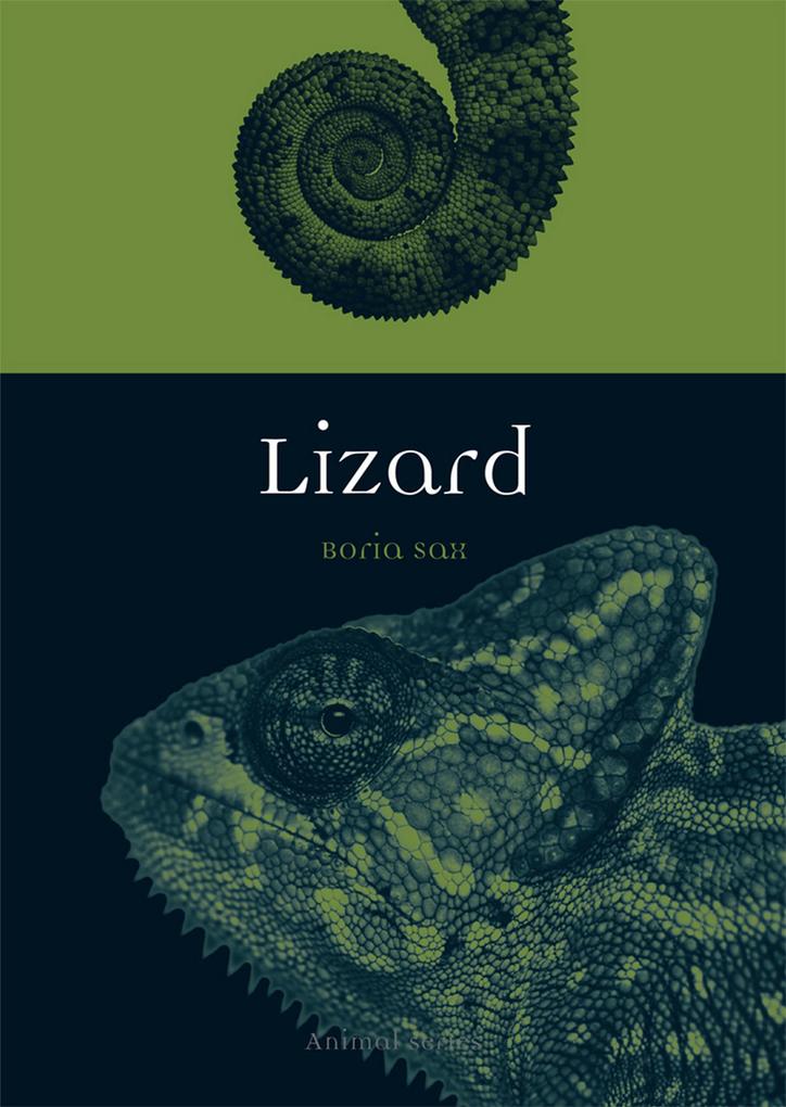 Produktbild: Lizard | Sax Boria Sax
