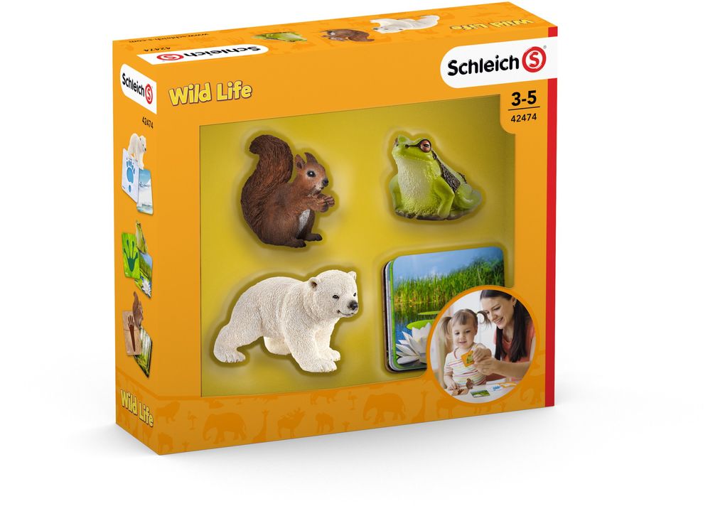 Schleich Wild Life Lernkarten Wild Life Sonstige Artikel
