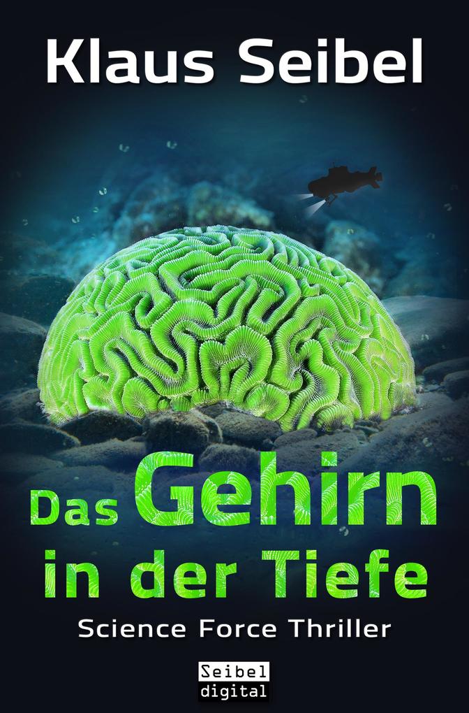 Produktbild: Das Gehirn in der Tiefe | Klaus Seibel