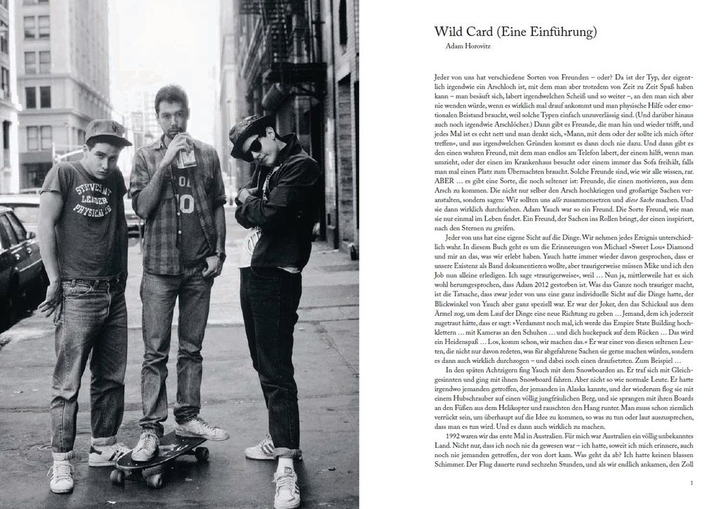 Weitere Ansicht: Beastie Boys Buch | Adam Horovitz, Michael Diamond