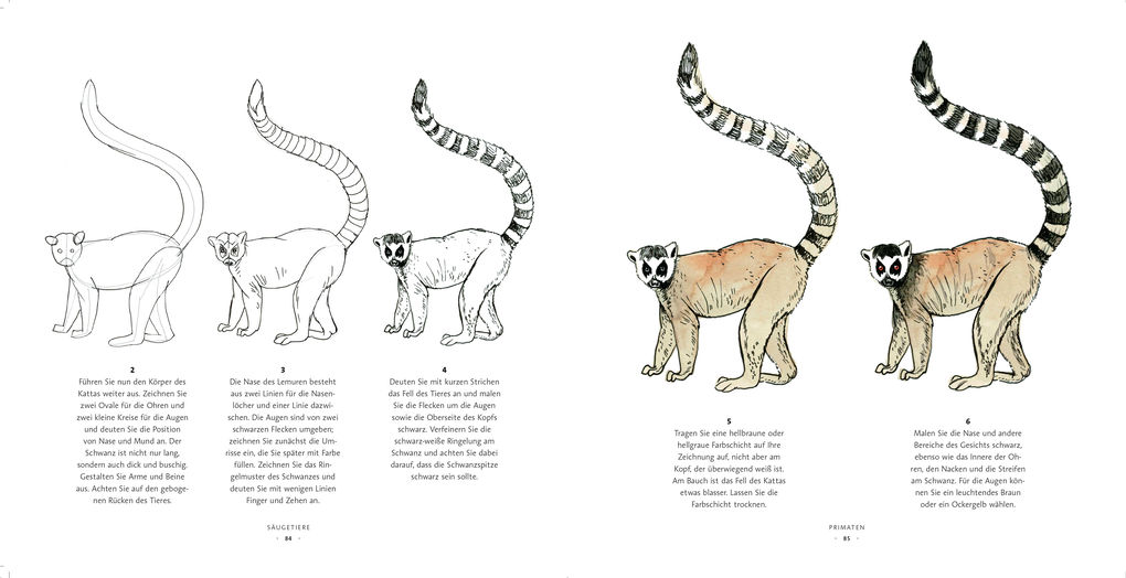 Weitere Ansicht: Zeichenschule Wildtiere | Oana Befort, Maggie Reinbold
