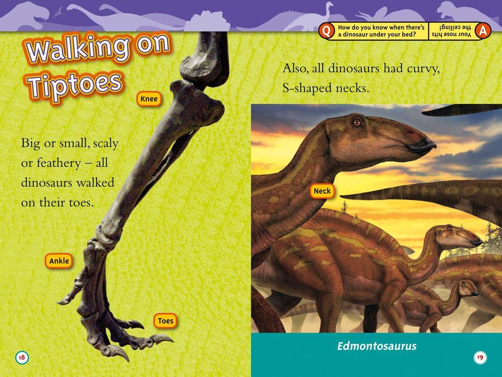 Weitere Ansicht: Dinosaurs | Kathy Weidner Zoehfeld, National Geographic Kids