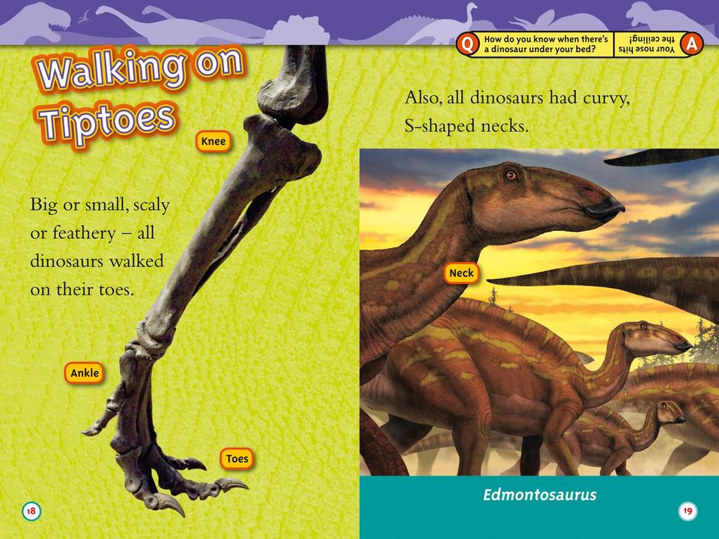 Weitere Ansicht: Dinosaurs | Kathy Weidner Zoehfeld, National Geographic Kids