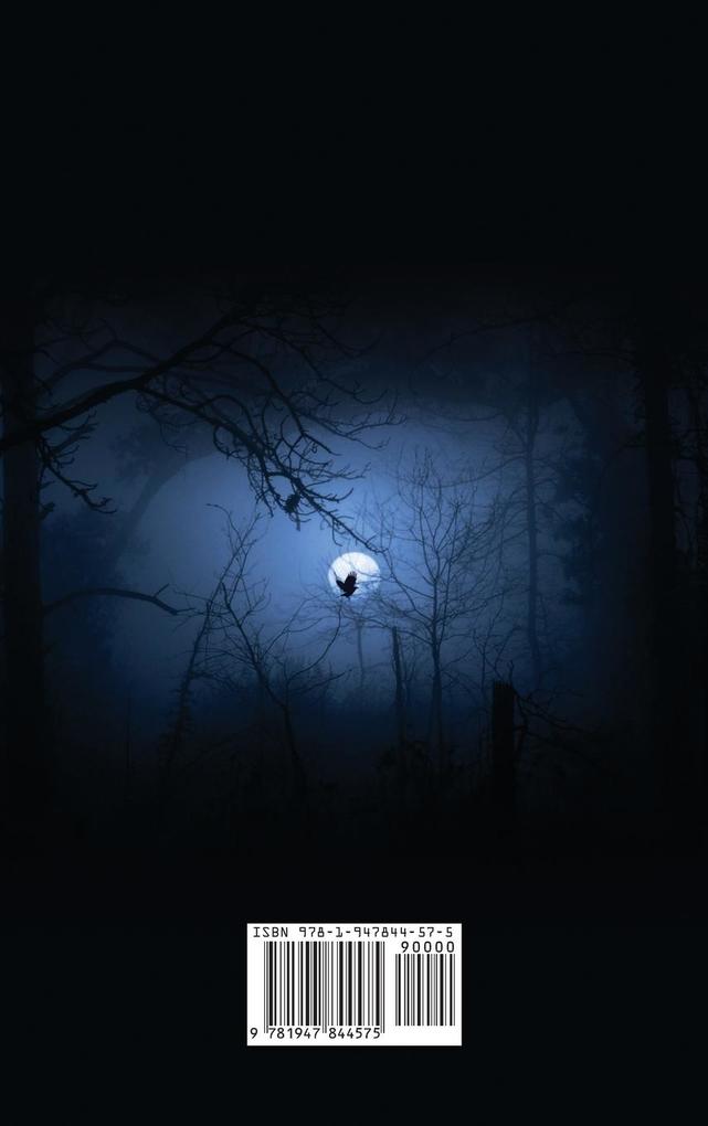 Weitere Ansicht: The Raven | Edgar Allan Poe