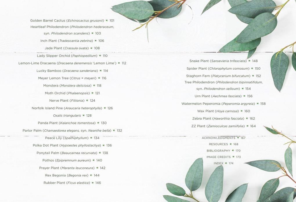 Weitere Ansicht: How to Houseplant | Heather Rodino