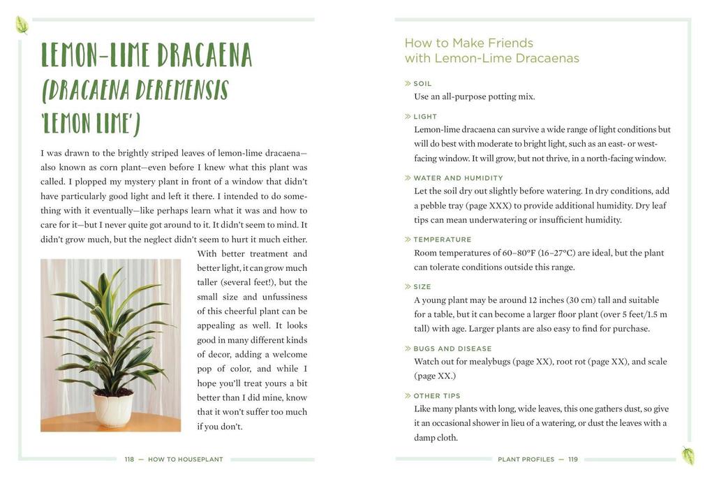 Weitere Ansicht: How to Houseplant | Heather Rodino