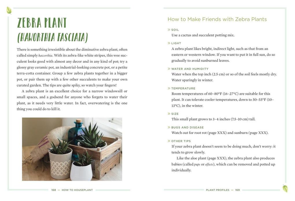 Weitere Ansicht: How to Houseplant | Heather Rodino