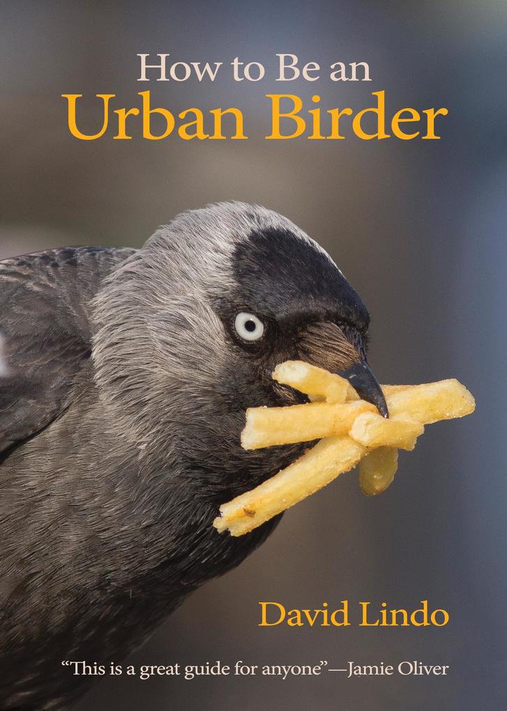 Produktbild: How to Be an Urban Birder | David Lindo