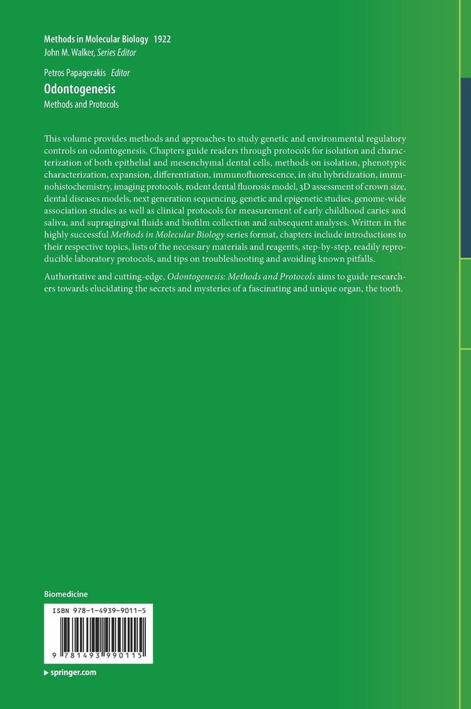 Weitere Ansicht: Odontogenesis